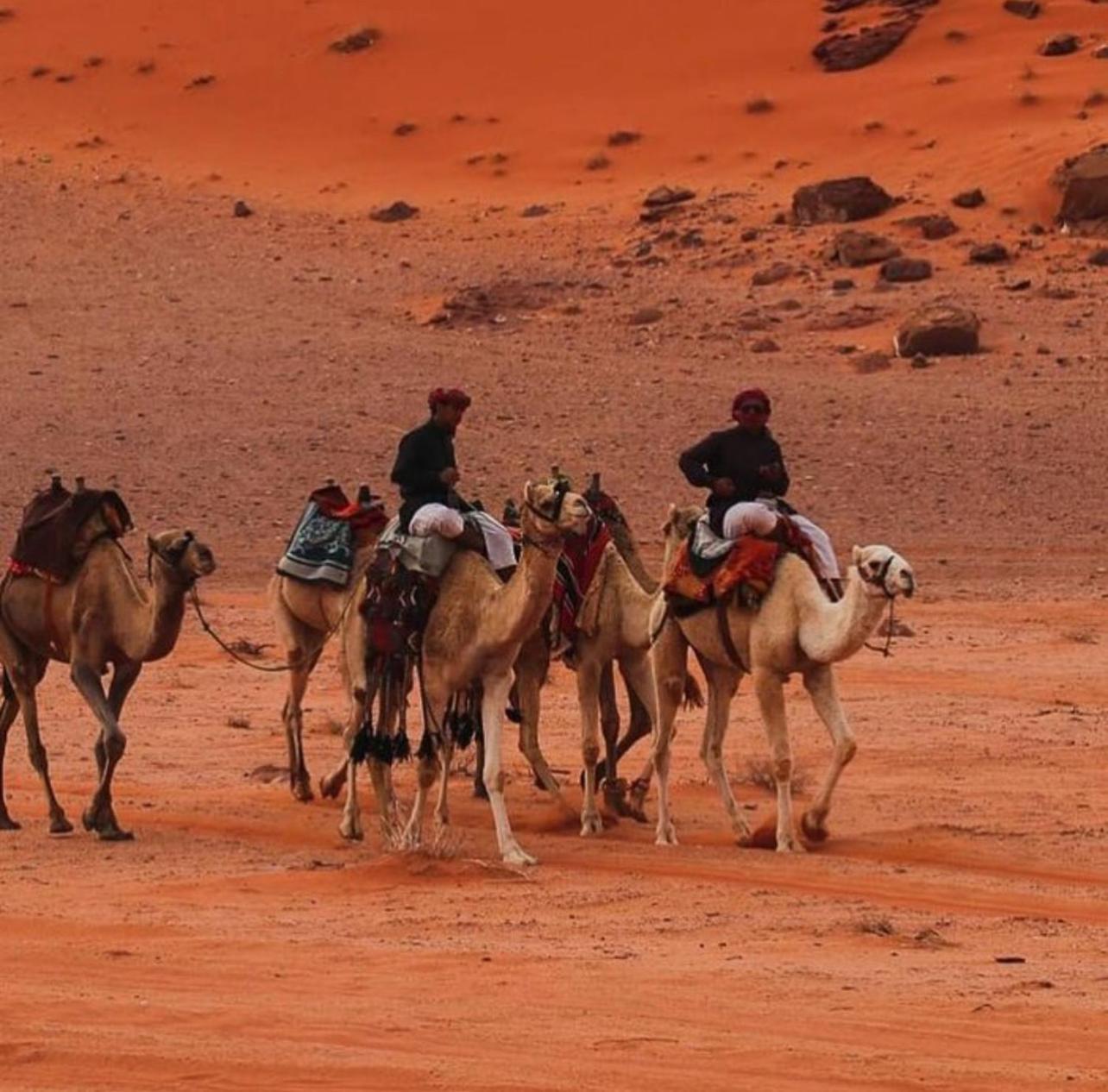 Bedouin Bunch Camp Ξενοδοχείο Ουάντι Ραμ Εξωτερικό φωτογραφία