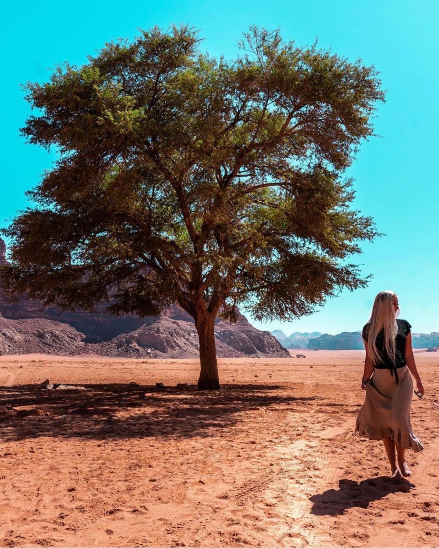 Bedouin Bunch Camp Ξενοδοχείο Ουάντι Ραμ Εξωτερικό φωτογραφία