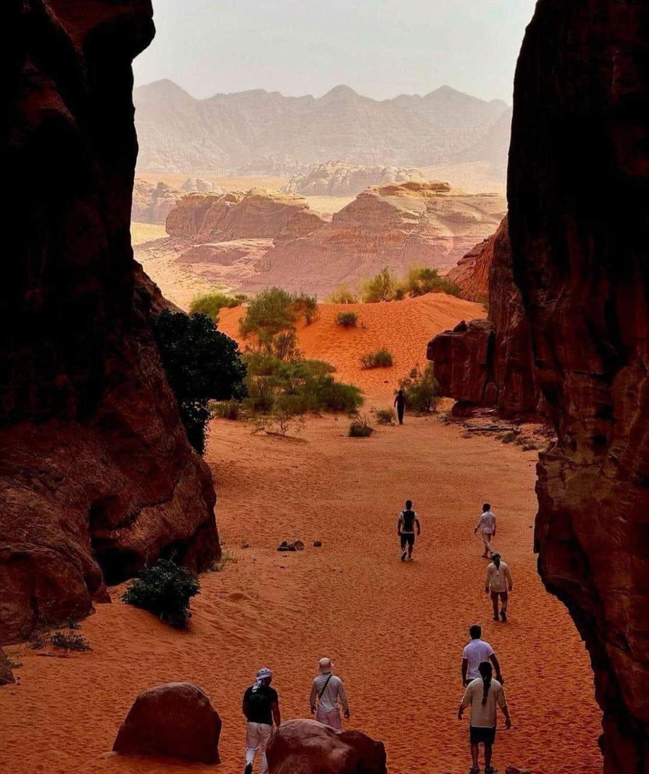 Bedouin Bunch Camp Ξενοδοχείο Ουάντι Ραμ Εξωτερικό φωτογραφία